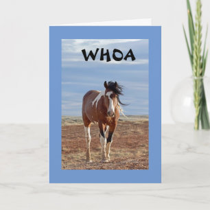 LE MOT EST QUE VOUS ÊTES UNE CARTE **10**