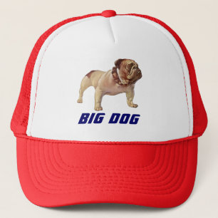 Le moteur du GRAND de CHIEN de CASQUETTE