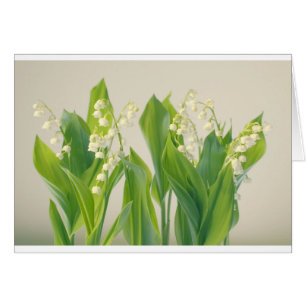 Le muguet