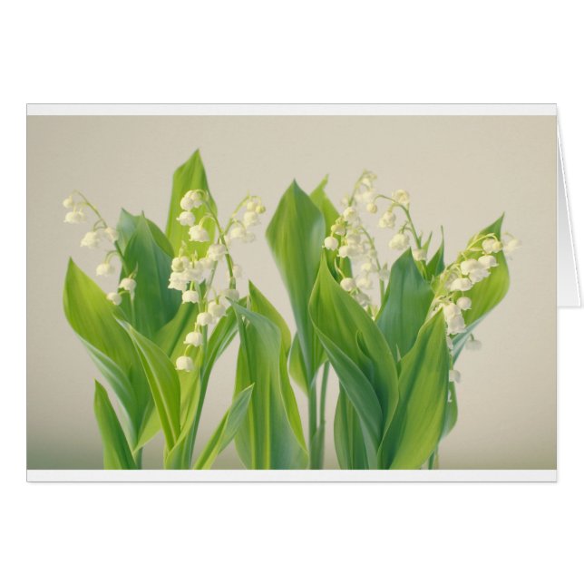 Le muguet (Devant horizontal)