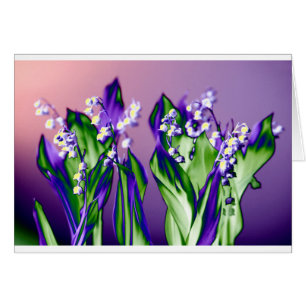 Le muguet en lavande