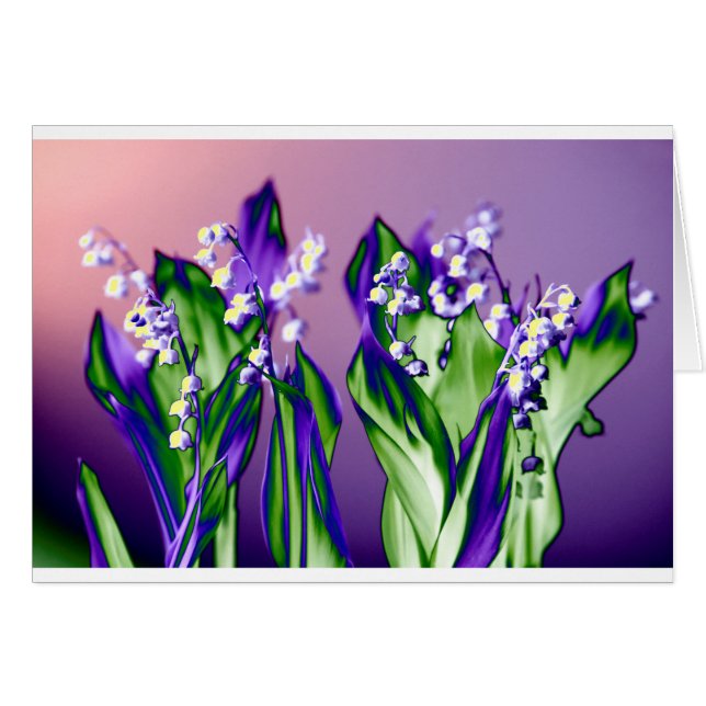 Le muguet en lavande (Devant horizontal)