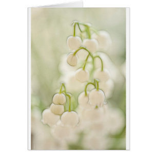 Le muguet fleurit le croquis