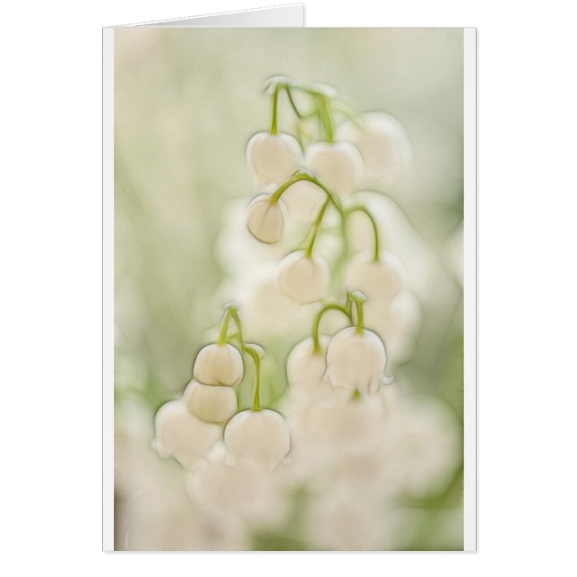 Le muguet fleurit le croquis (Devant)