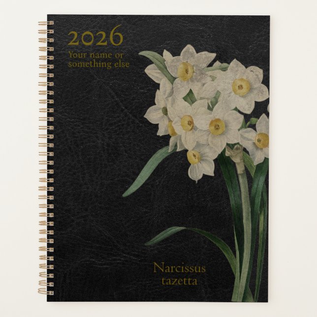 Le Narcissus Tazetta : Perfection Paperwhite (Devant)