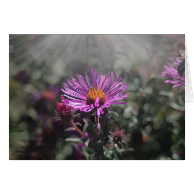 Le Nébraska ville en octobre 2015 (Devant horizontal)