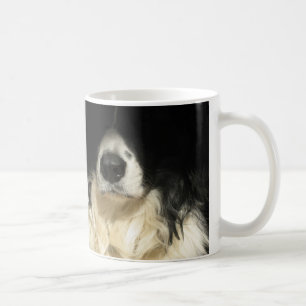 Le nez du chien ferme la tasse
