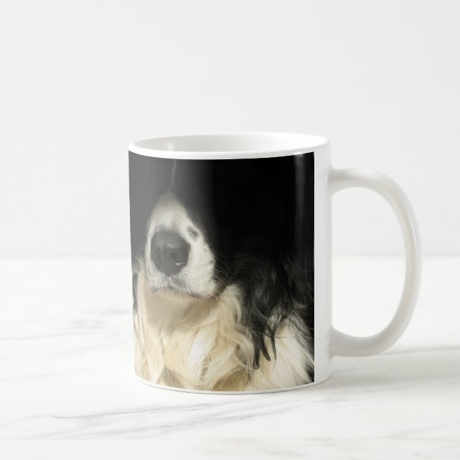 Le nez du chien ferme la tasse (Droite)
