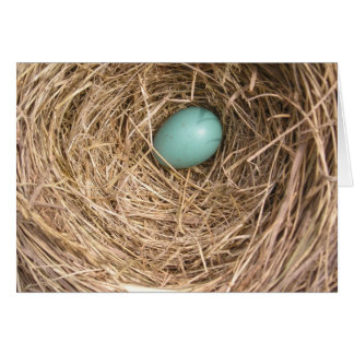 Le nid des oiseaux (la Virginie Occidentale)