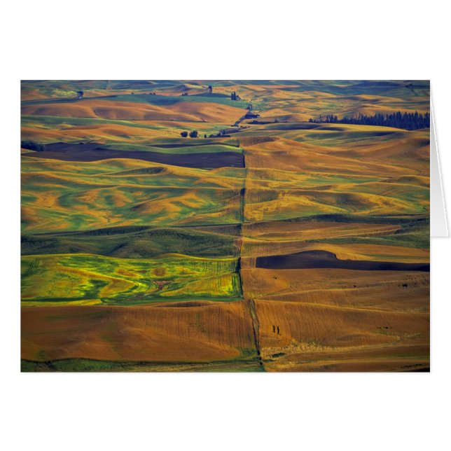 Le Palouse depuis Steptoe Butte, Colfax, (Devant horizontal)