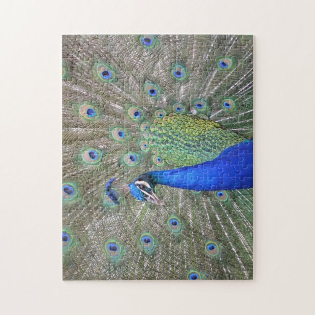 Le paon Plumes le puzzle (Vertical)