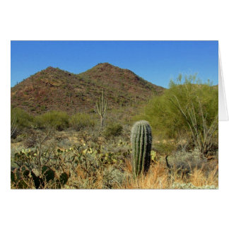 Le paradis du désert