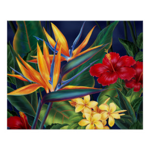 Le paradis tropical Hawaï Affiches florales