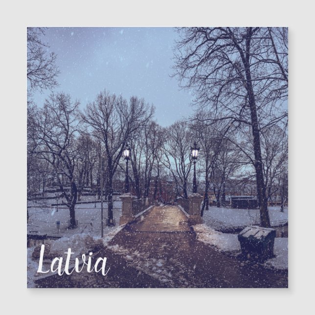 Le parc de la ville enneigé en hiver le soir (Devant)