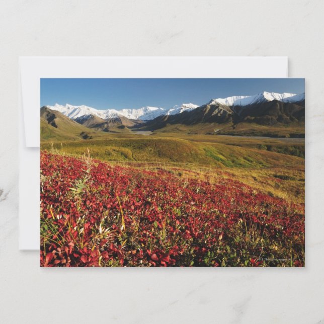 Le Parc national de Denali (Devant)