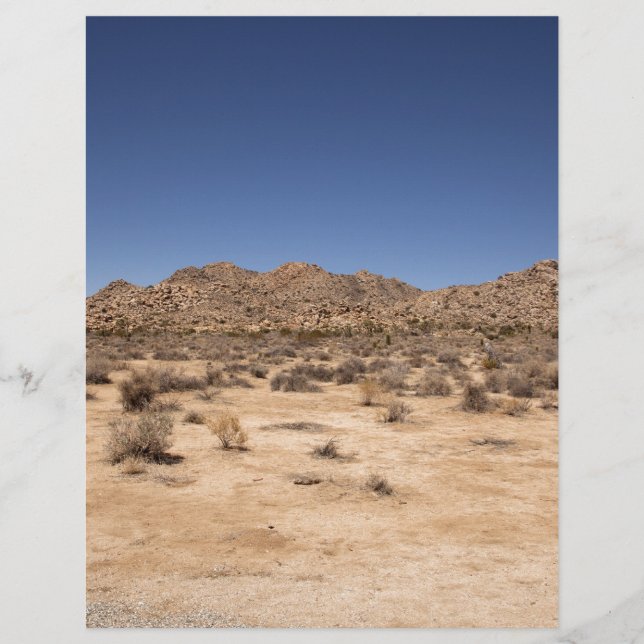 Le Parc national de Joshua Tree (Devant)