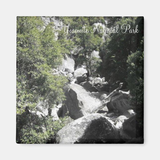 Le Parc National De Yosemite Un Magnet (Devant)