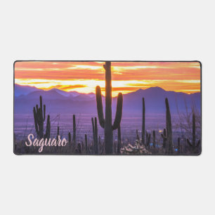 Le Parc national du Saguaro