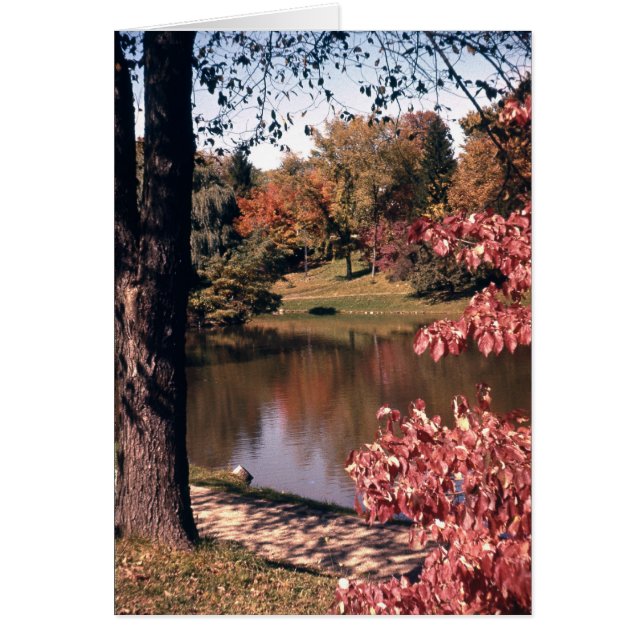 Le parc Silver à l'automne (Devant)