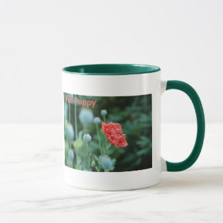 Le pavot rouge, en Flandre met en place la tasse