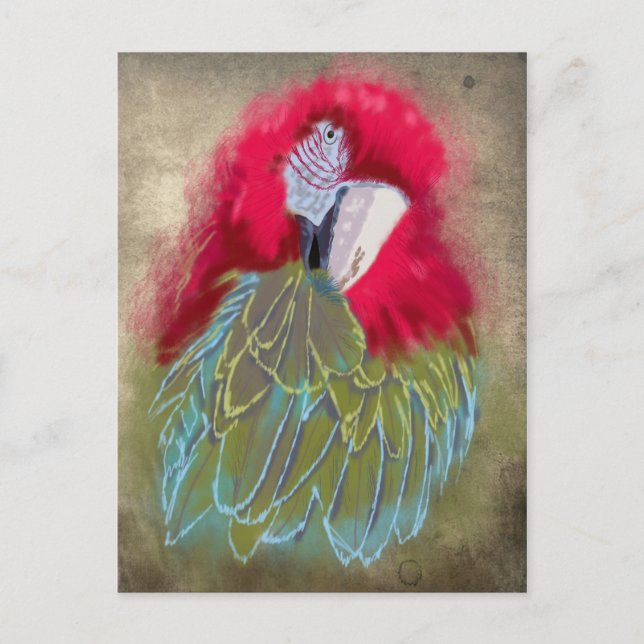 Le perroquet - Carte postale (Devant)