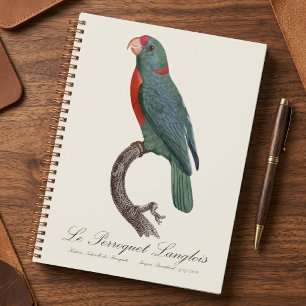Le Perroquet Langlois de Jacques Barraband