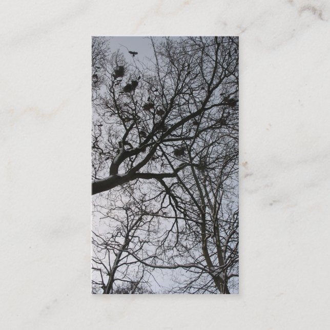 Le petit carte photo de corneilles (Devant)