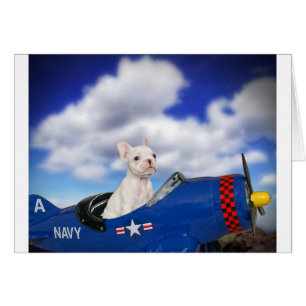Le petit pilote