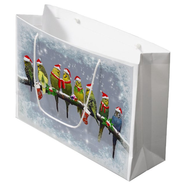 Le petit sac de cadeau de Carollers (Devant Angle)