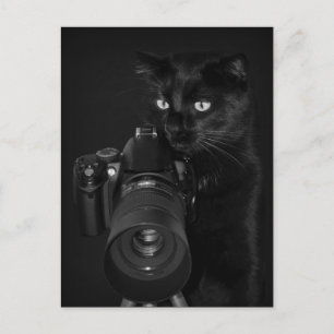 Le photographe - Carte postale