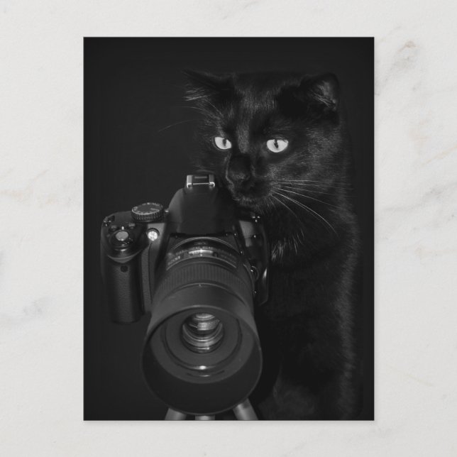 Le photographe - Carte postale (Devant)