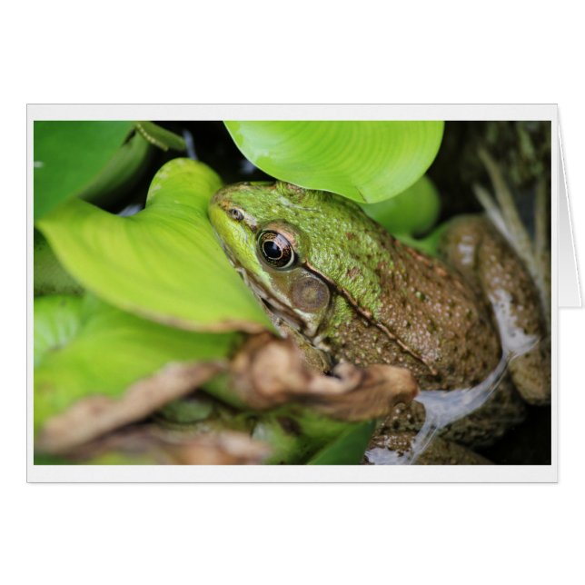 Le pinceau - Épingle (Devant horizontal)