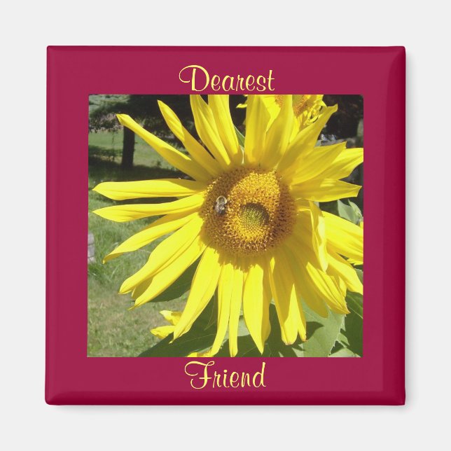Le plus cher, Ami-Tournesol avec Aimant (Devant)