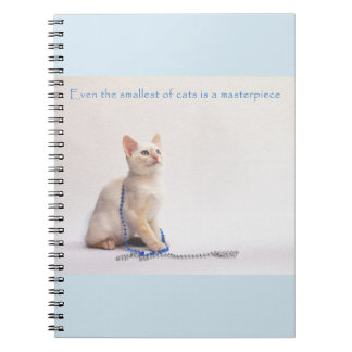 Le plus petit du carnet de chats : Farrah