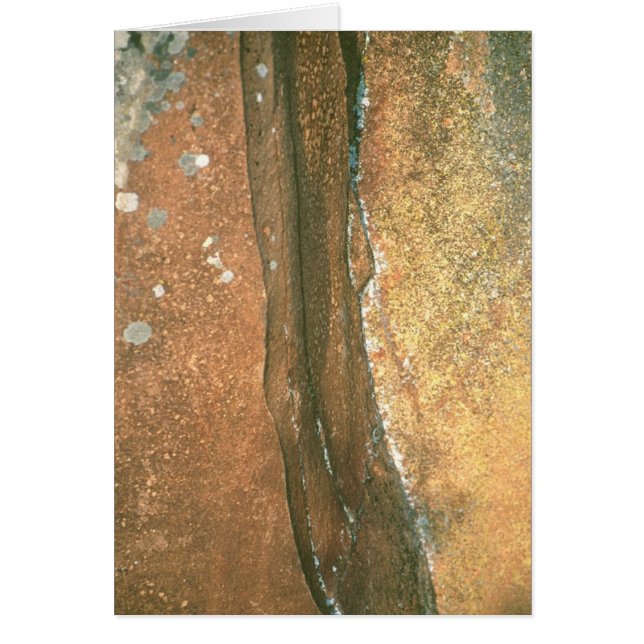 Le point #1 de l'artiste (Devant)