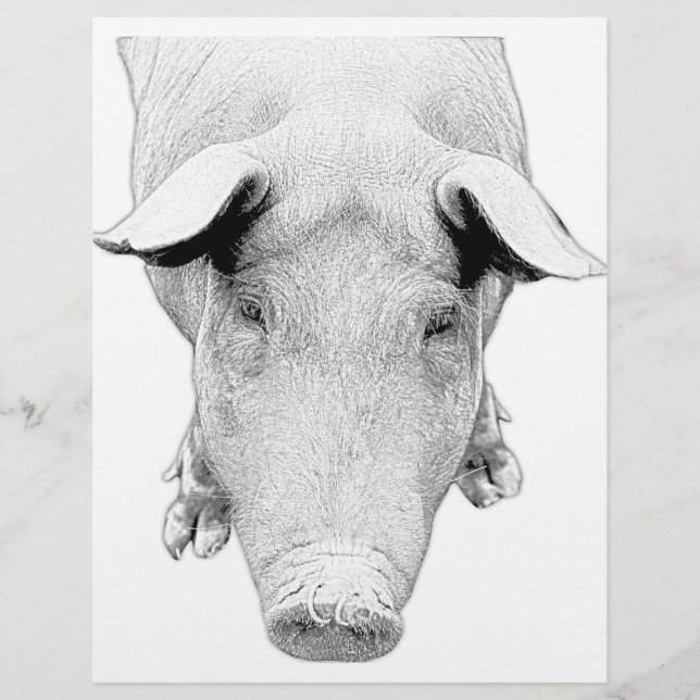 Le porc en noir et blanc (Devant)