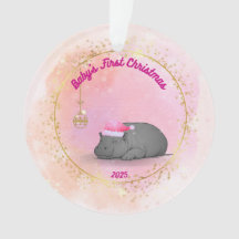 Le premier Noël de bébé Pygmy Hippo Ornement de No