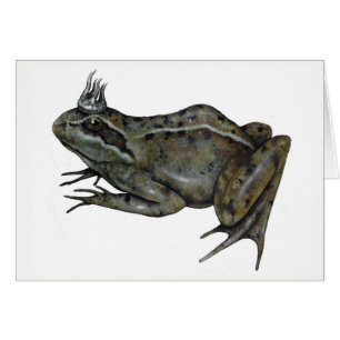 Le prince de grenouille