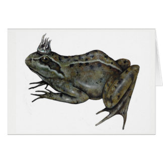 Le prince de grenouille