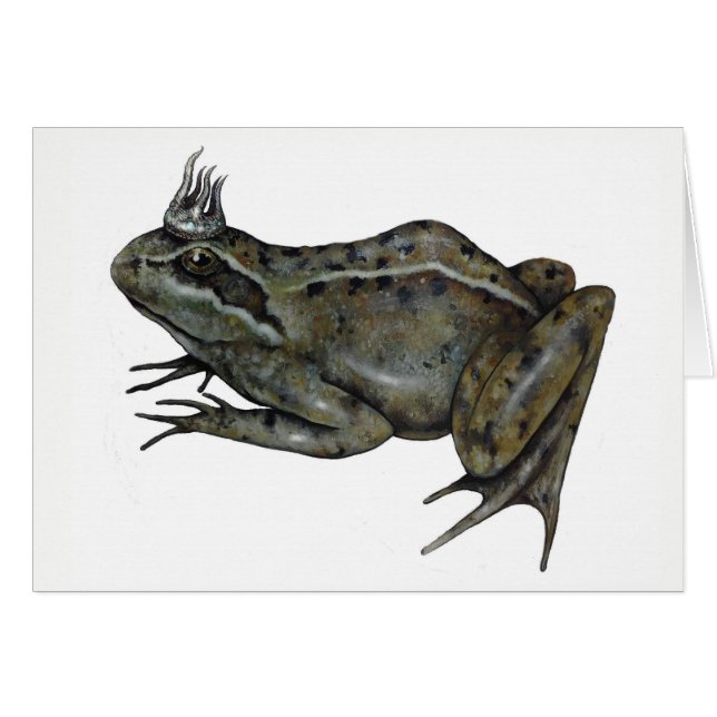 Le prince de grenouille (Devant horizontal)