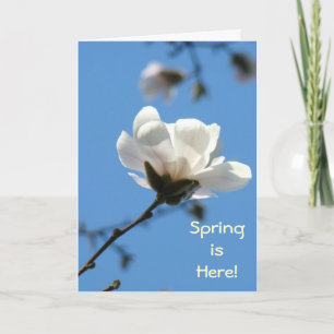 Le printemps est là ! Cartes de voeux Arbre Magnol