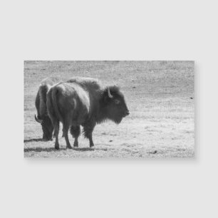 Le puissant buffle