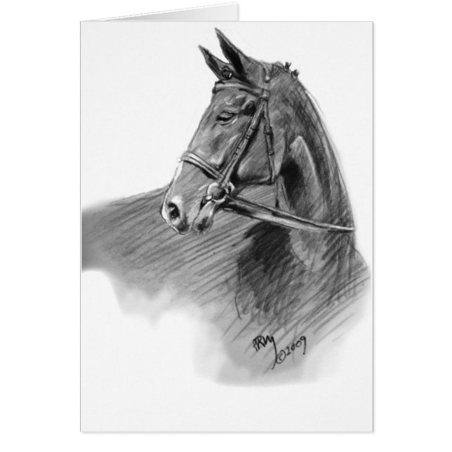 "Le pullover " (Devant)