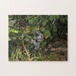 Le puzzle de lapin de velventine