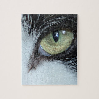 Le Puzzle de Xylo