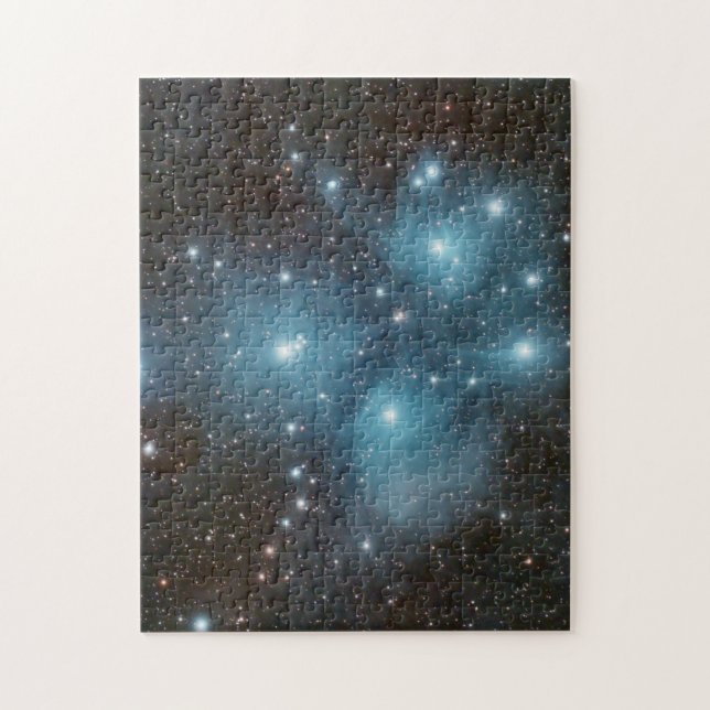 Le Puzzle des Sept Soeurs (Vertical)