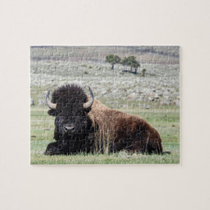 Le Puzzle du bison américain