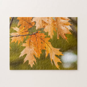 Le puzzle photo de fond de l'automne