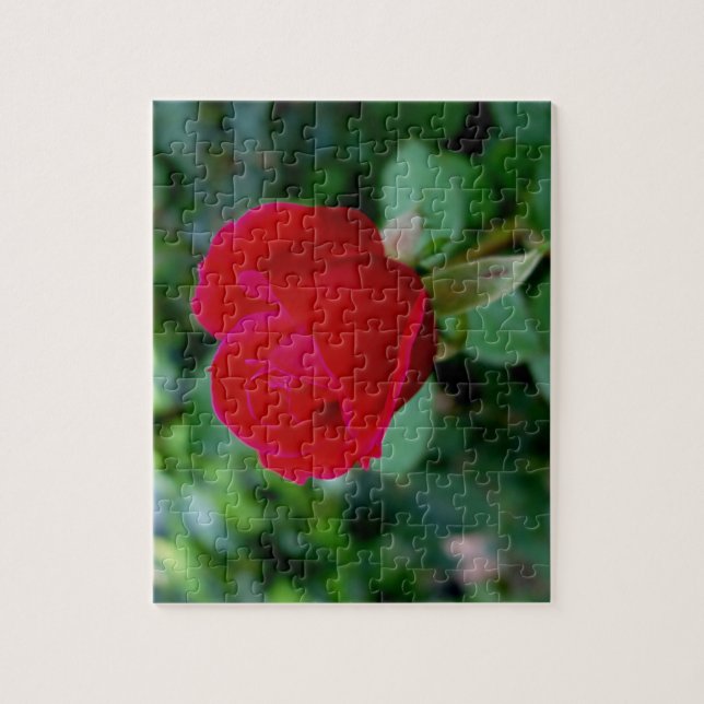 Le Puzzle Rose parfait (Vertical)