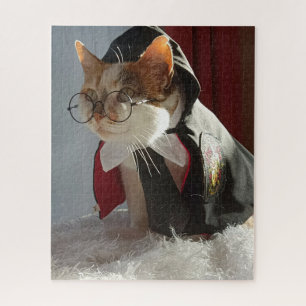 Le puzzle Wizard Cat
